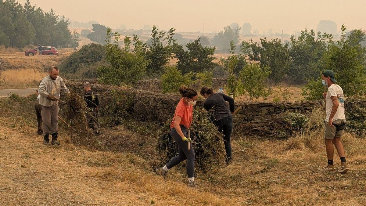 Defense of Luyego's surroundings of Somoza