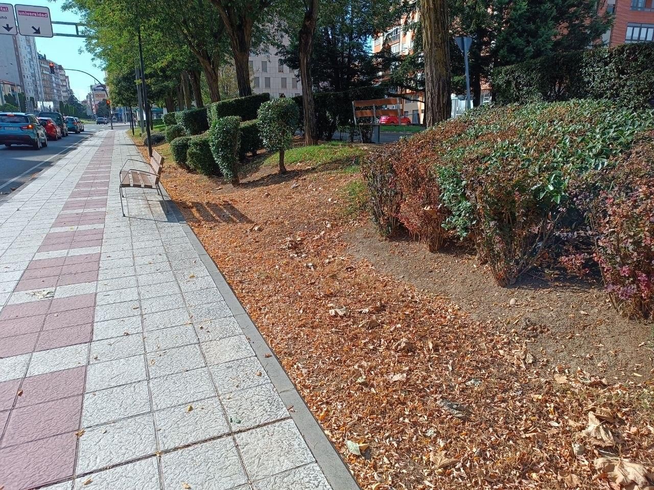 El llamativo otoño en pleno verano que se el clima acelera en el paisaje urbano de León