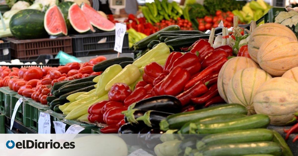Vivienda, servicios turísticos y alimentación, otra vez los motores del alza anual de precios en Canarias