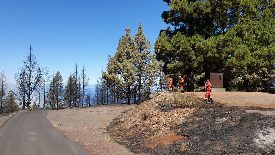 Zona quemada por el incendio en Garafía.