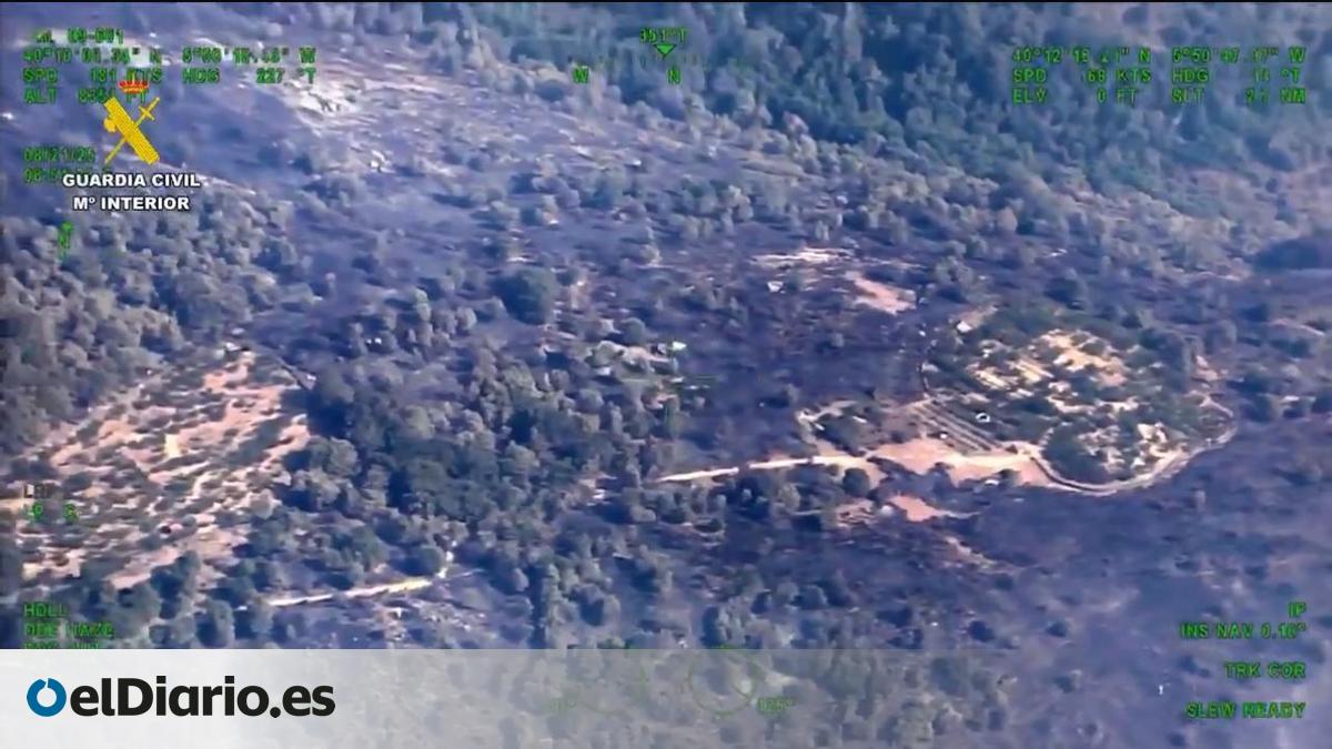 El PSOE acusa a la Junta de “paralizar” la política forestal y de ...