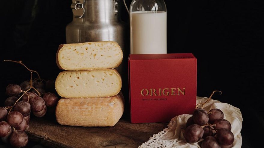 Queso de vaca roja pasiega elaborado por La Lleldería.