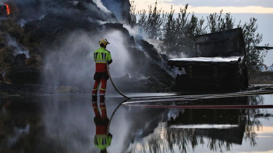 La presidenta de la Asociación Forestal Alcarreña: "Los montes se están convirtiendo en un polvorín"