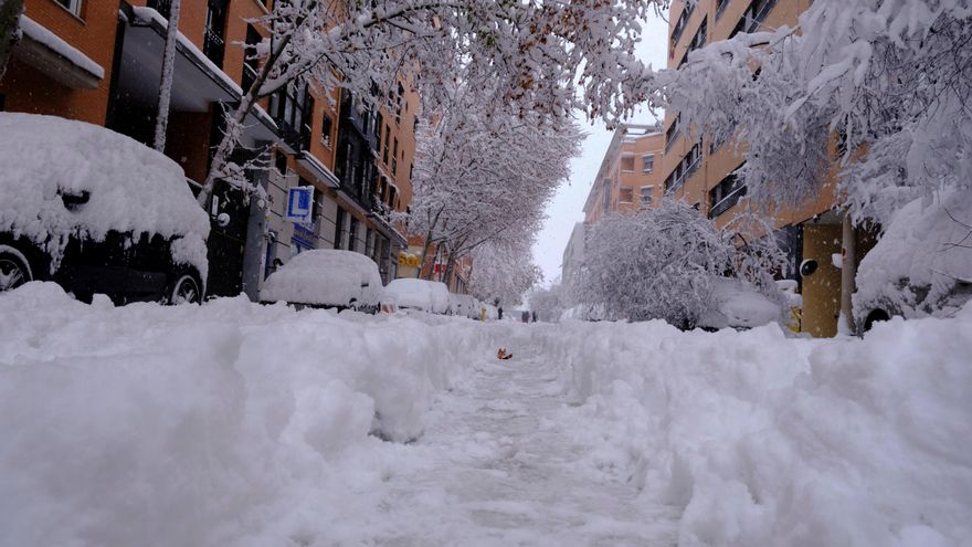 Árboles caídos por el peso de la nieve en el distrito de Arganzuela de Madrid, este sábado en el que la península sigue afectada por el temporal Filomena que deja grandes nevadas y temperaturas más bajas de lo habitual que bajarán drásticamente los próximos días. EFE/Jorge López