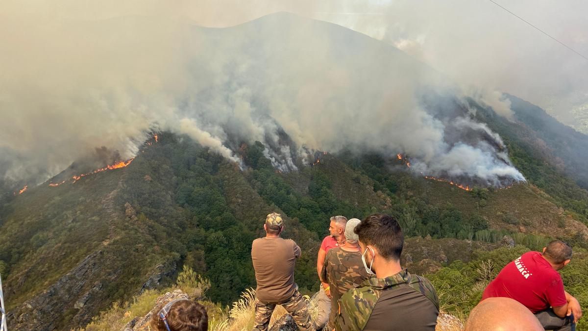 El incendio forestal de Gestoso, en el municipio de Oencia, en la comarca de El Bierzo.