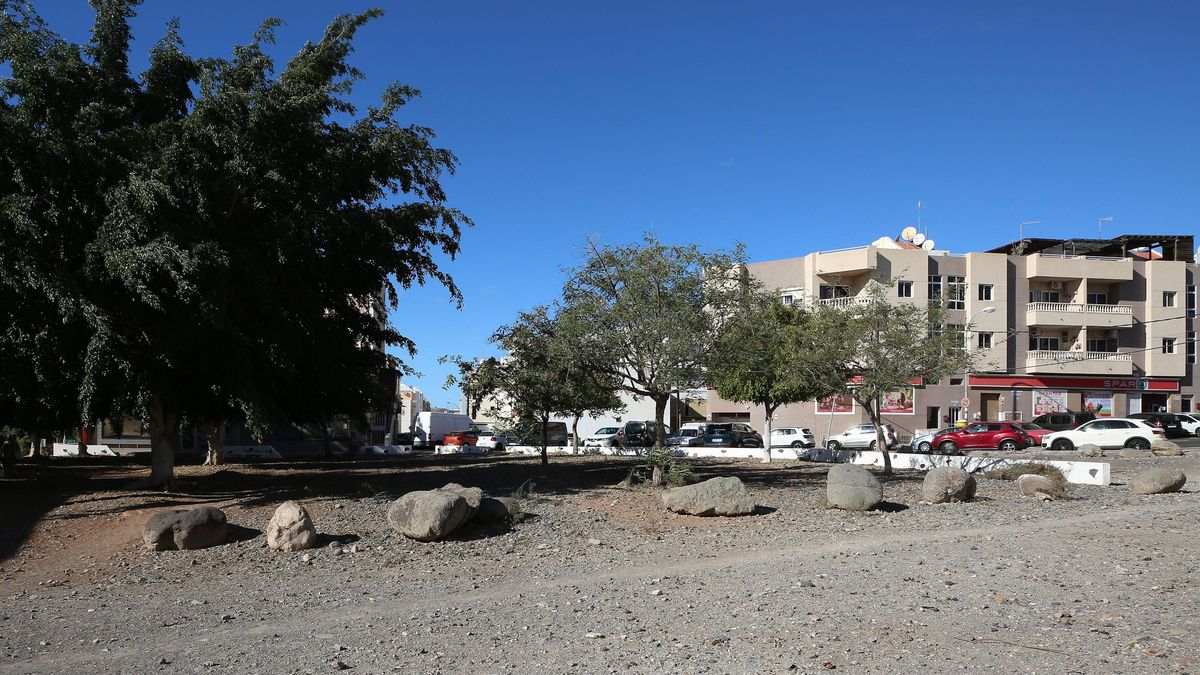 Los pocos árboles que tiene El Tablero están descuidados, denuncian los vecinos