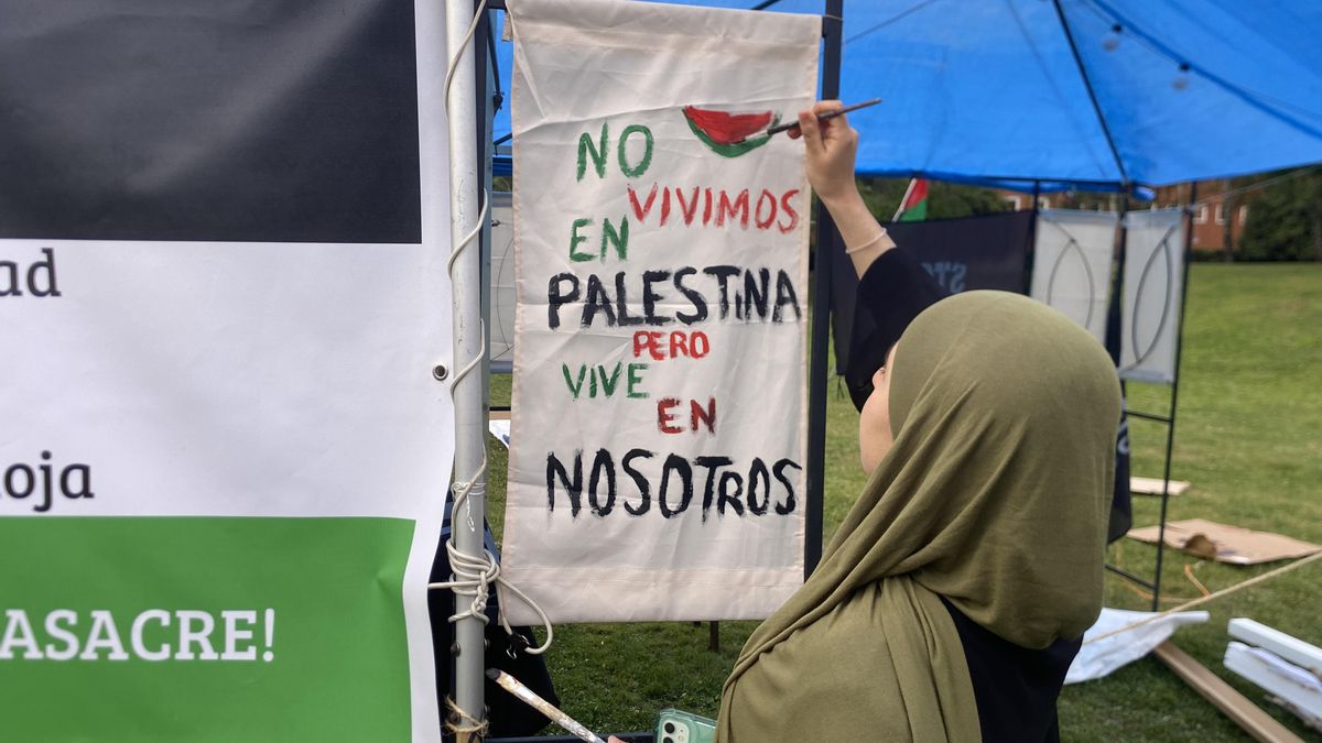 Pancartas por Palestina en la Universidad de La Rioja