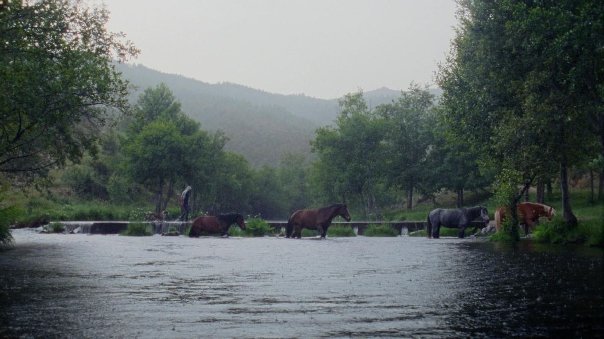 Una de las muchas escenas idílicas del paisaje de Covas do Barroso