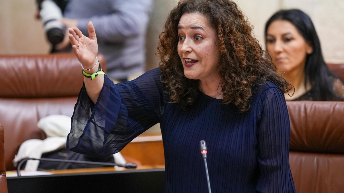 La portavoz de Por Andalucía, Inmaculada Nieto, en la sesión de control.