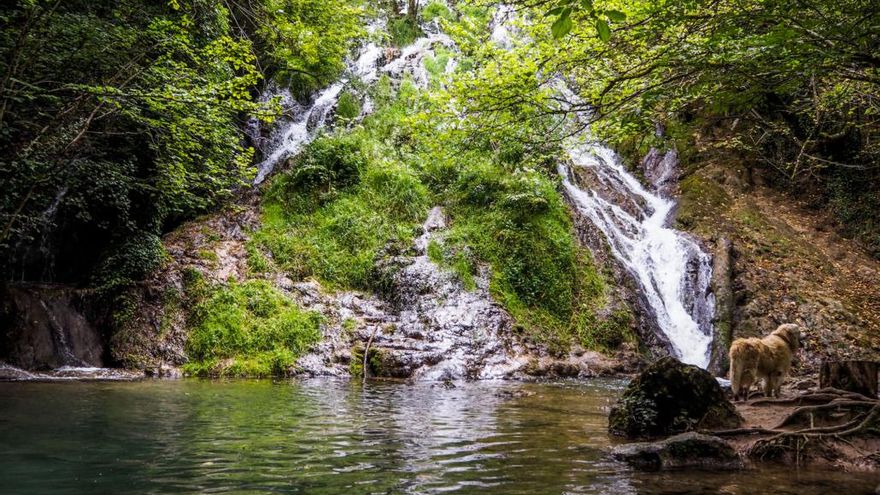 Las cuatro piscinas naturales de Álava en las que darte un baño refrescante en verano