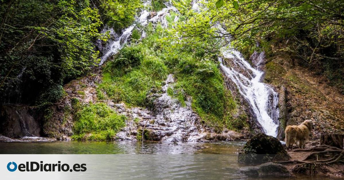 Las cuatro piscinas naturales de Álava en las que darte un baño refrescante en verano
