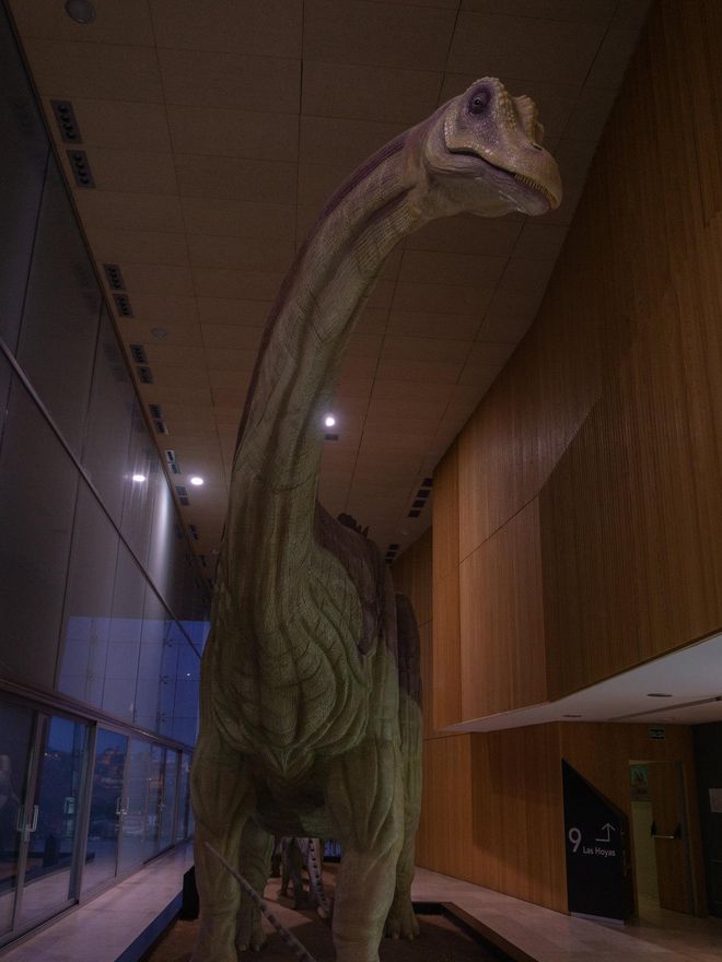 Lagarto terrible. Una de las reproducciones de dinosaurios del Museo Paleontológico de Castilla La Mancha.