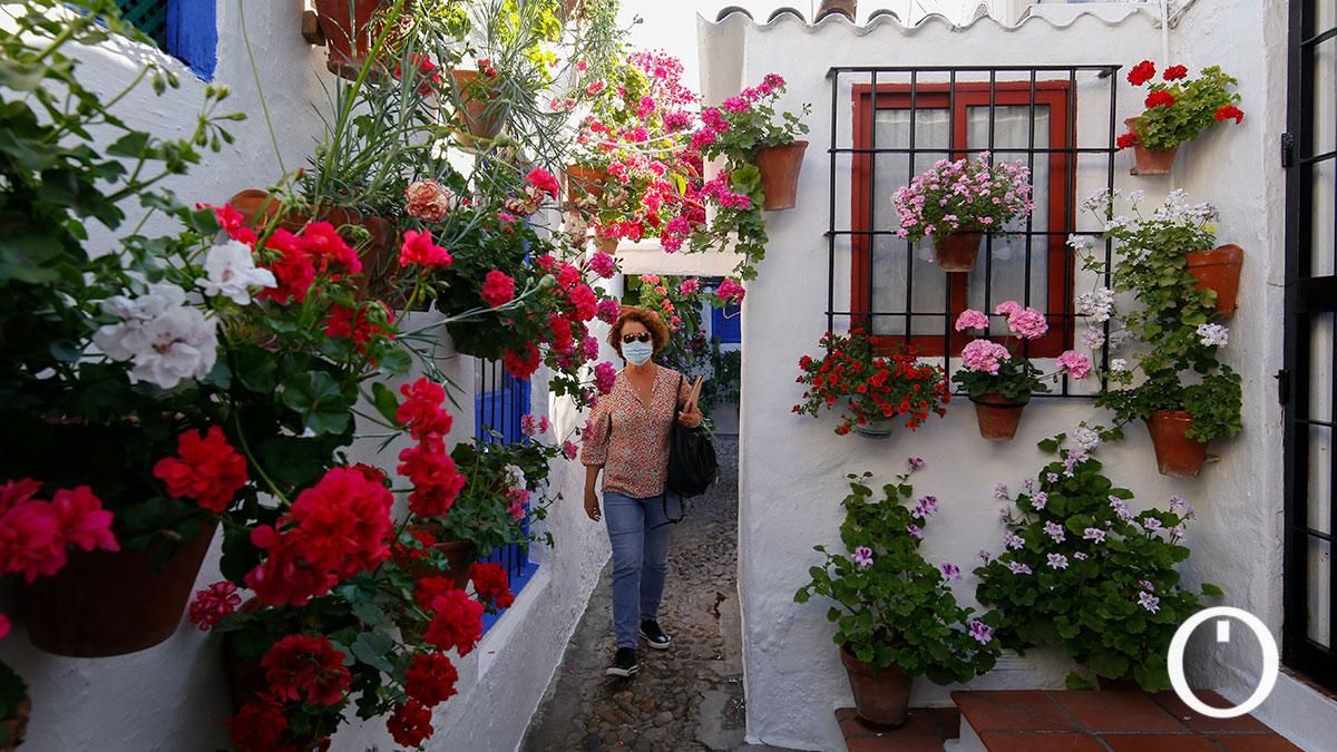 Patio Marroquies,6 - 2022