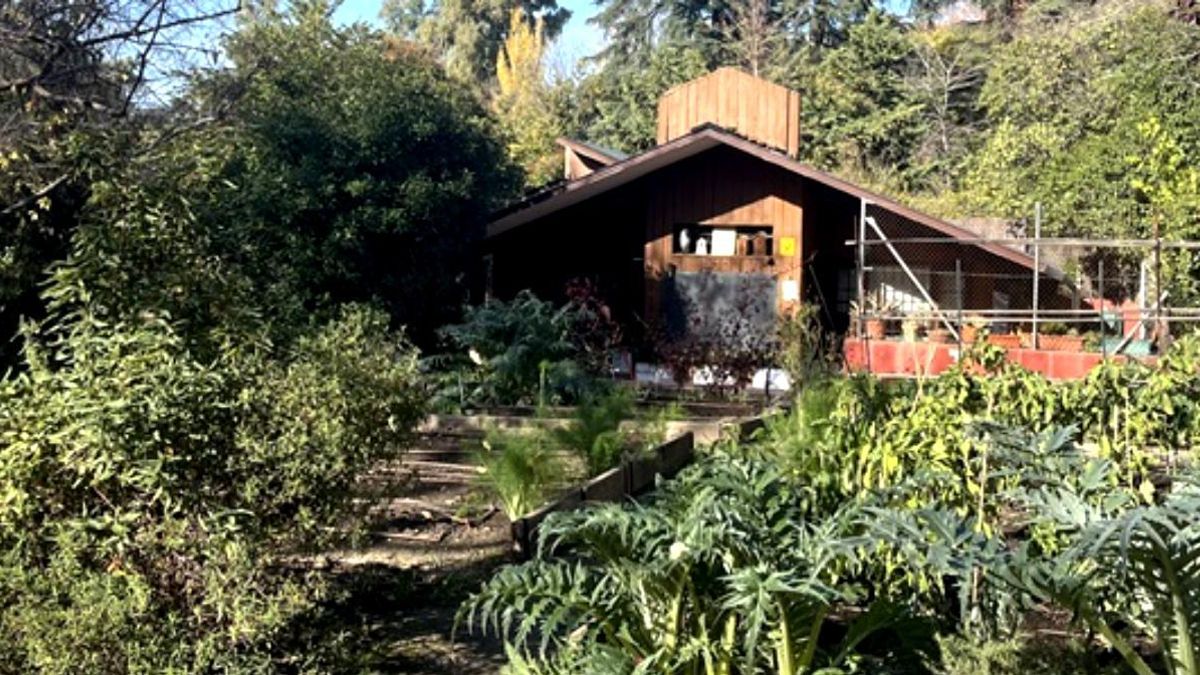 Los talleres y actividades de la Cabaña del Retiro corren el riesgo de cierre sin fecha de apertura al atascarse su licitación