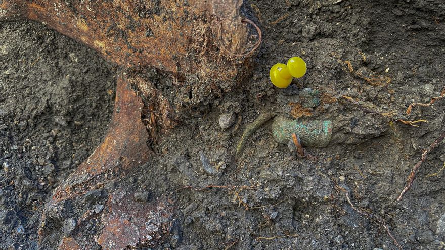 El barranco de Víznar devuelve los restos de más de una decena de mujeres fusiladas en la Guerra Civil