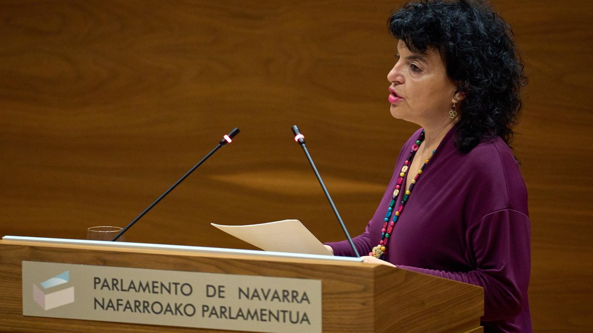 Eneka Maiz en el Parlamento de Navarra.