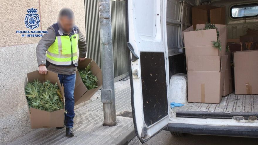 Los agentes incautaron un total de seis kilos de marihuana y 165 plantas, así como de diferentes cantidades de cocaína y hachís