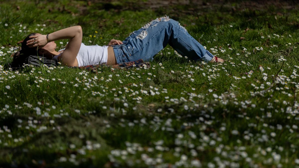 Una persona tumbada al sol