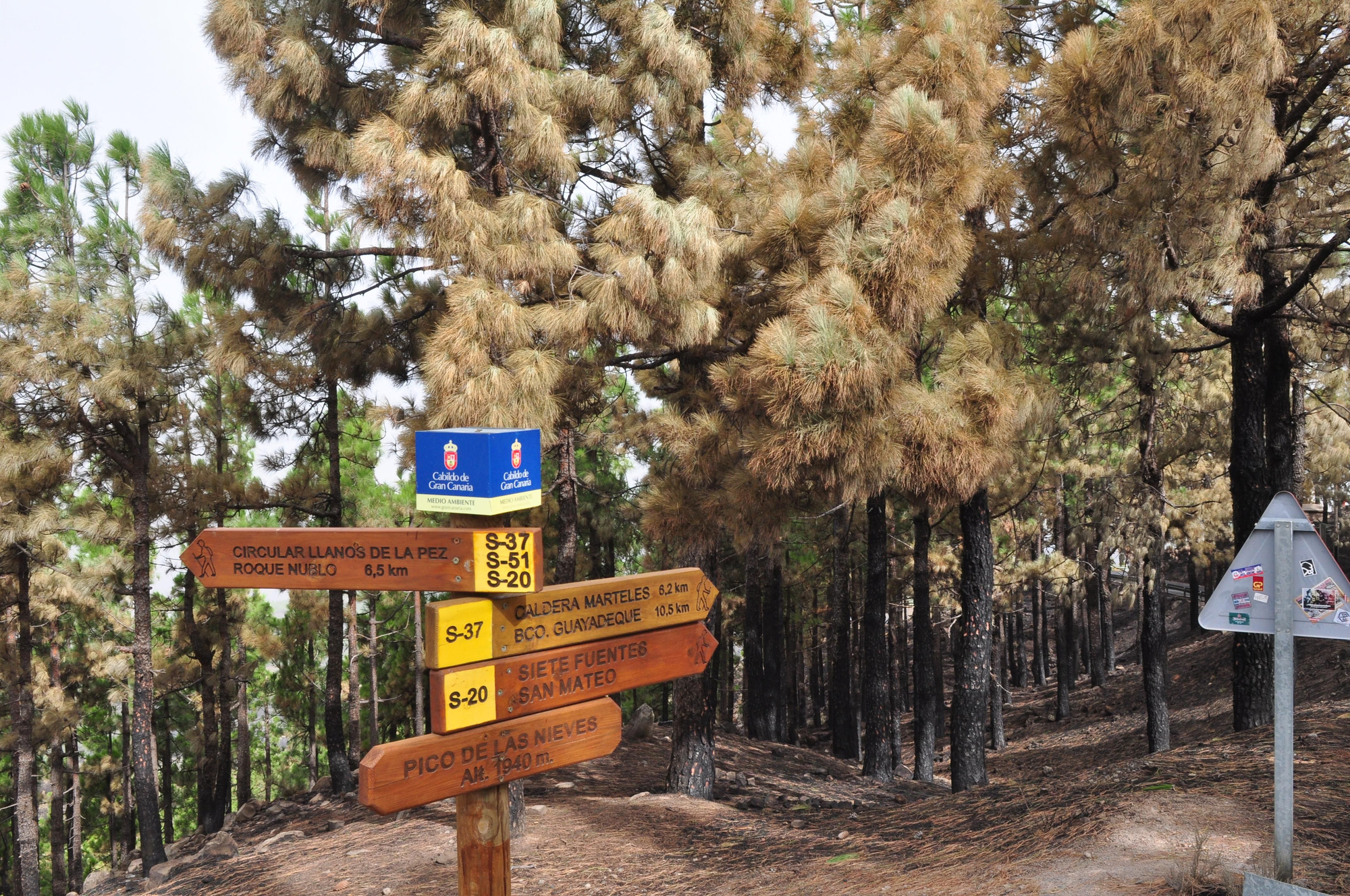 Efectos del incendio en Gran Canaria. (Ángel Sarmiento).