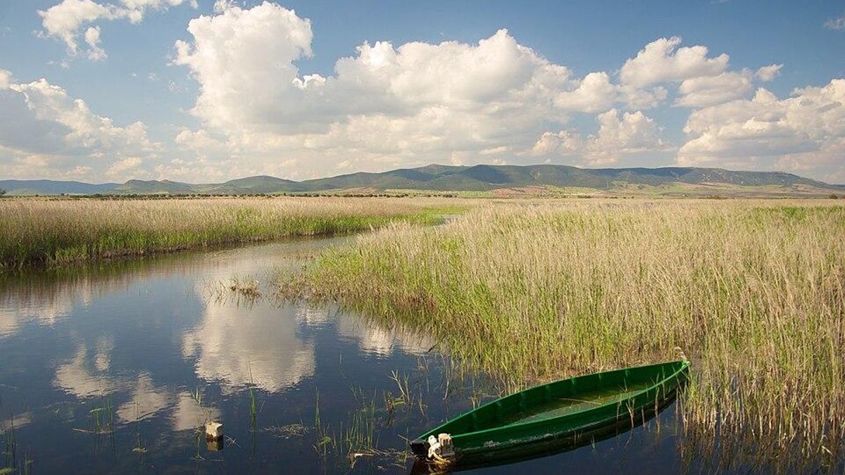 Tablas de Daimiel, dentro de la Reserva de la Biosfera de la Mancha Húmeda
