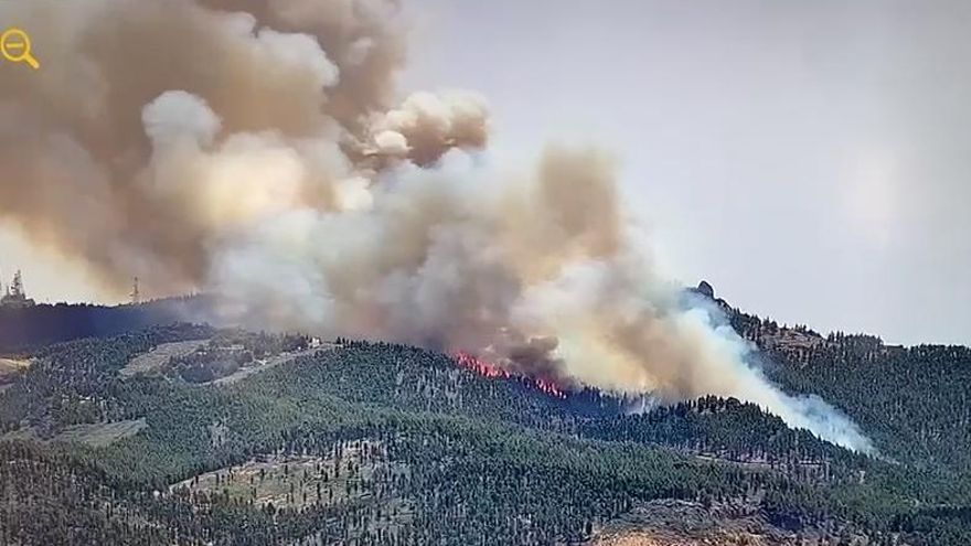 El Cabildo de Gran Canaria dice que el incendio de Tejeda podría haber quemado 10.000 hectáreas
