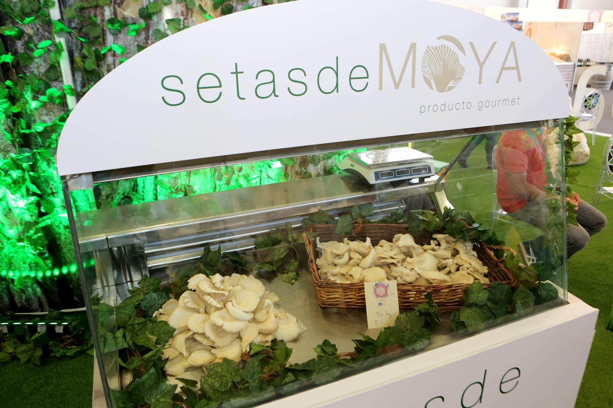 Feria Gran Canaria Me Gusta en Infecar (Las Palmas de Gran Canaria). Alejandro Ramos.