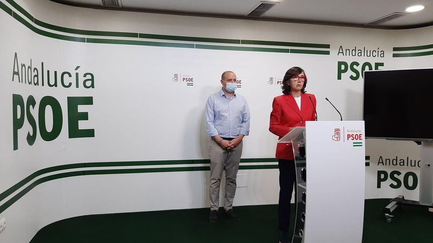 La portavoz adjunta del Grupo Parlamentario Socialista Rosa Aguilar en rueda de prensa en Almería