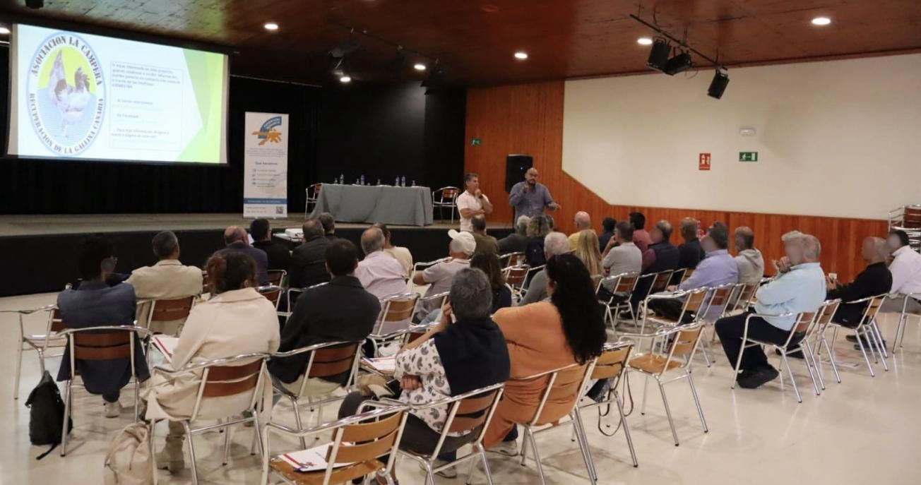 Encuentro organizado por Isonorte sobre la gallina canaria.