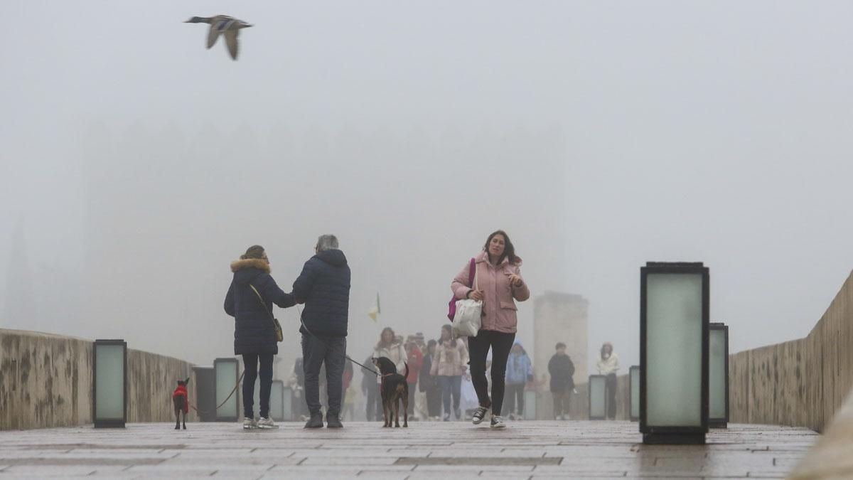Mañana de niebla en Córdoba