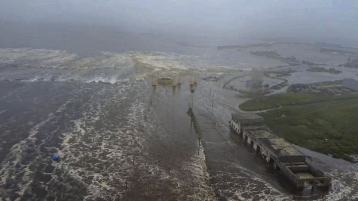 Cómo funciona un tsunami: el empujón del terremoto lanza olas a toda velocidad hacia la costa y “cruzan océanos en horas”