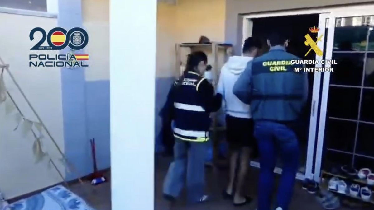 Desarticulada en Canarias una organización que importaba coches robados y los alquilaba