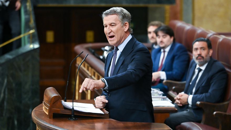 El presidente del PP, Alberto Núñez Feijóo, interviene durante una sesión plenaria en el Congreso de los Diputados,.