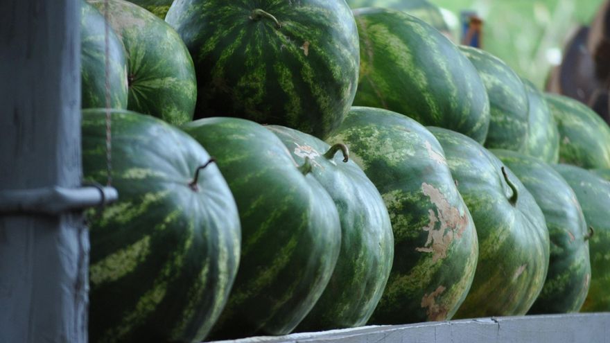 Castilla-La Mancha, entre las regiones donde más se consume melón y sandía
