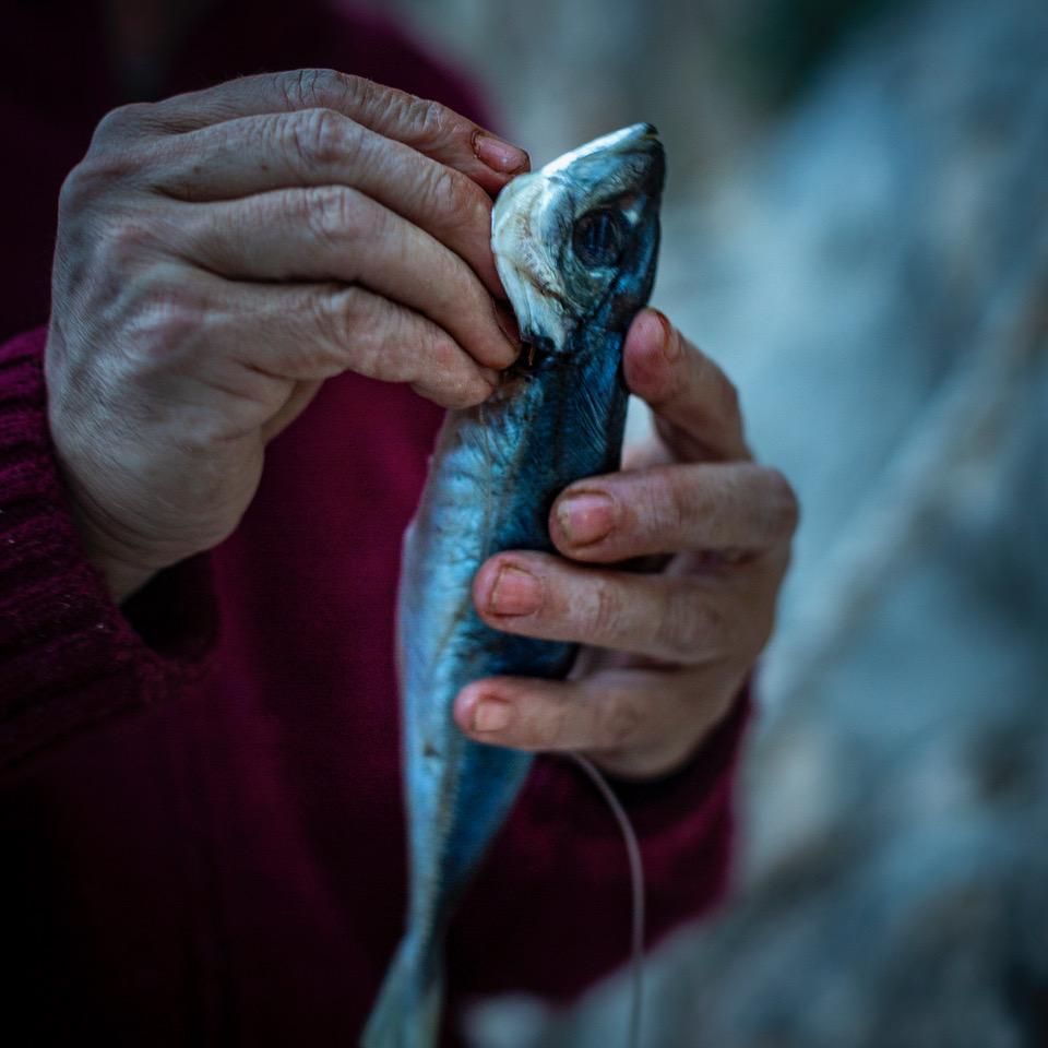 Una de les imatges del llibre 'Nits de tinta'.