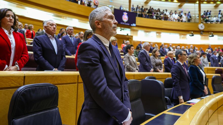 El ministro del Interior, Fernando Grande-Marlaska, durante el minuto de silencio por los dos agentes de la Guardia Civil asesinados en acto de servicio en Barbate. EFE/ Kiko Huesca