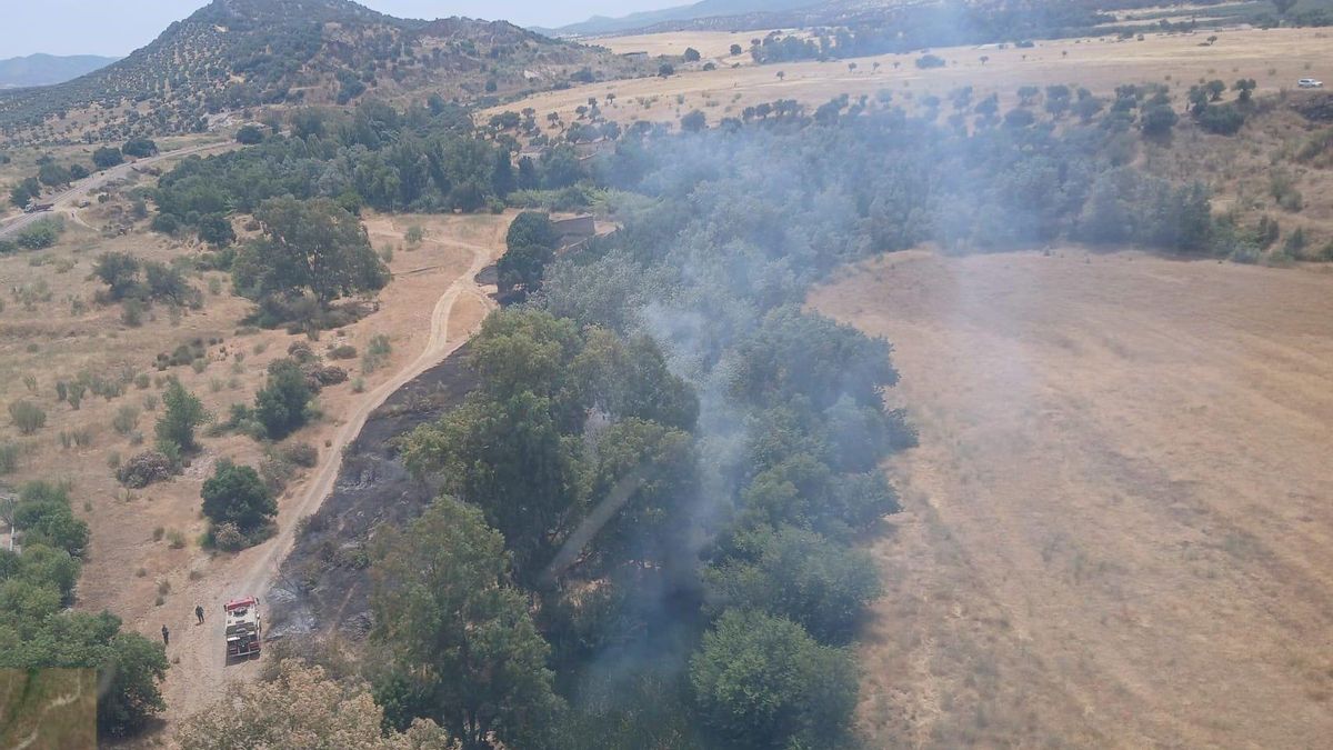 El Infoca actúa en un incendio forestal declarado en Belmez