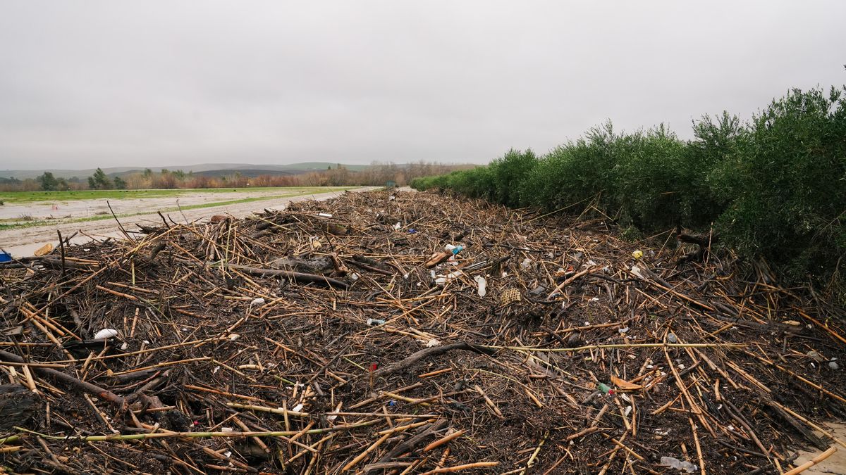 El aeropuerto de Córdoba, actualmente