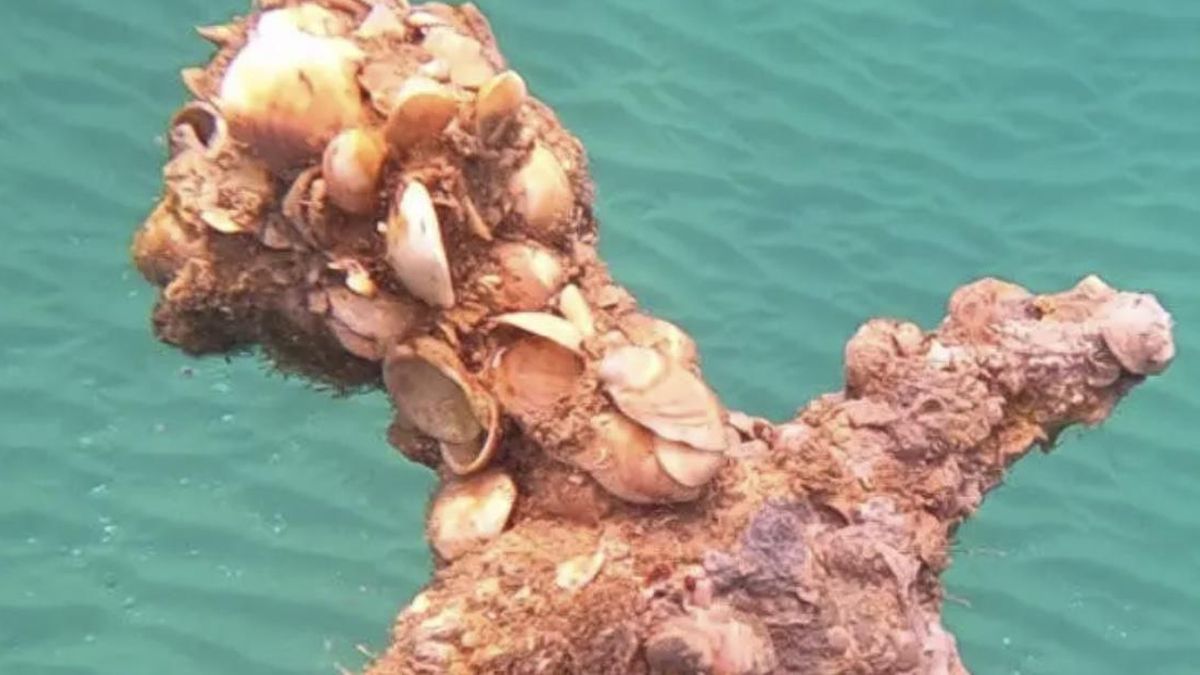 El examen reveló daños en el metal y pérdida de material por la corrosión