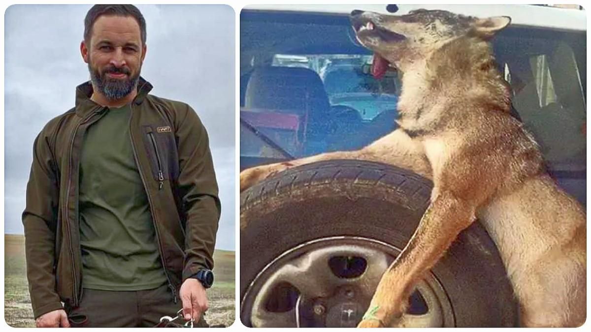 Ironías del destino