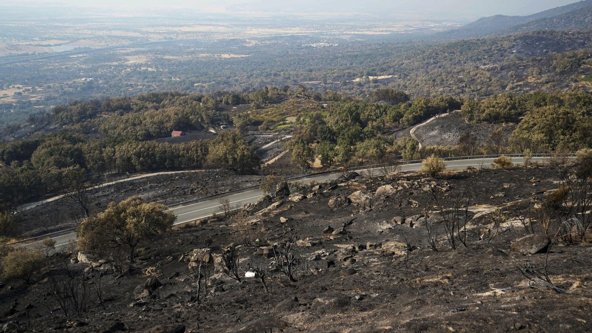Áreas calcinadas en la localidad cacereña de Cabezabellosa por el incendio de Jarilla (Cáceres), en una imagen de este miércoles. EFE/EDUARDO PALOMO
