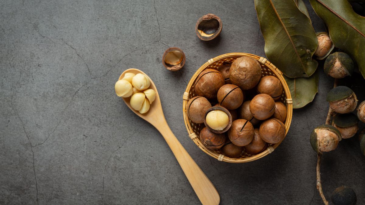 Nueces de macadamia