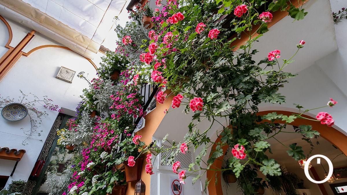 Patio Chaparro, 3- 2022