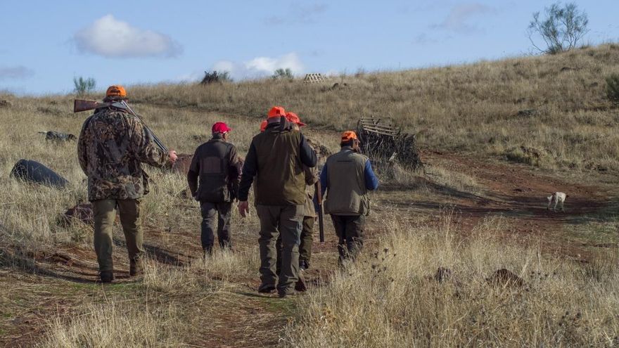 Bruselas diluye la prohibición de la munición de plomo que envenena la naturaleza a favor de los cazadores