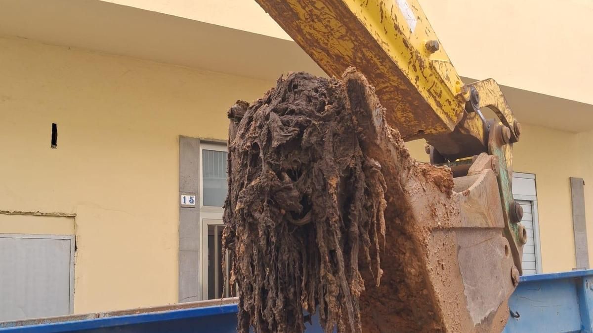 El 'monstruo' de las toallitas provoca una "grave obstrucción" en Fuerteventura