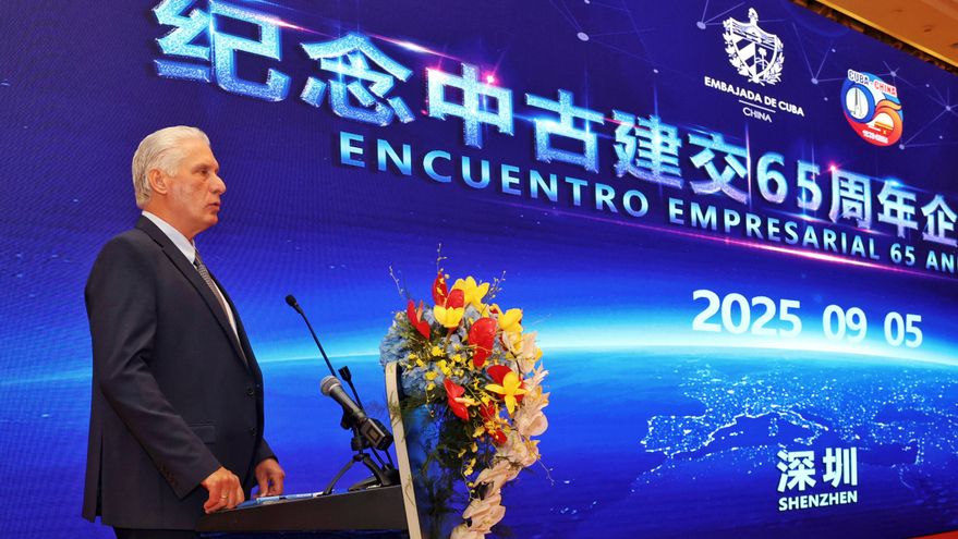 "Cuba está abierta a todas las propuestas", le asegura Díaz-Canel a empresarios chinos