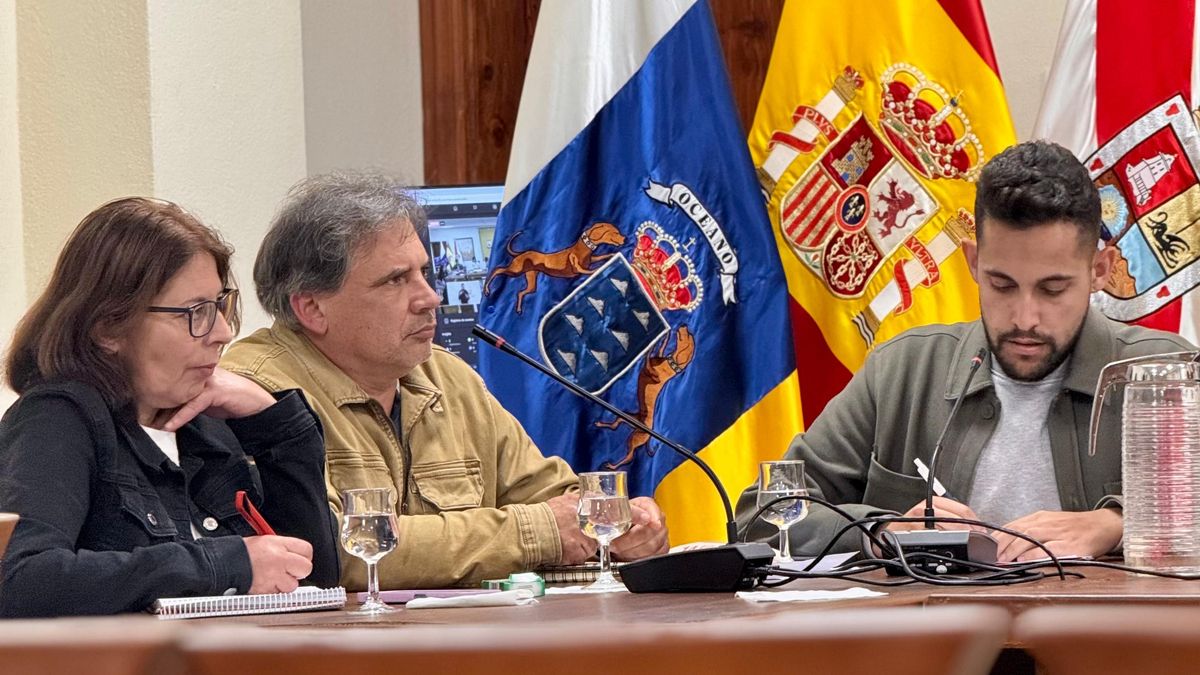 Grupo Socialista del Ayuntamiento de Tijarafe.