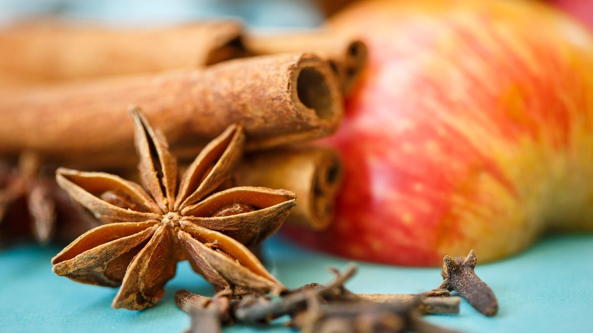Combinar el anís estrellado con canela da como resultado una infusión de sabor y aromas cálidos e intensos