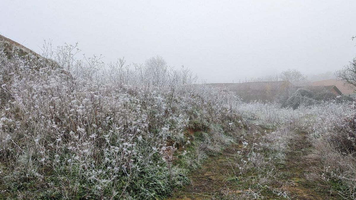 Cencellada en San Adrián del Valle, en el Páramo leonés