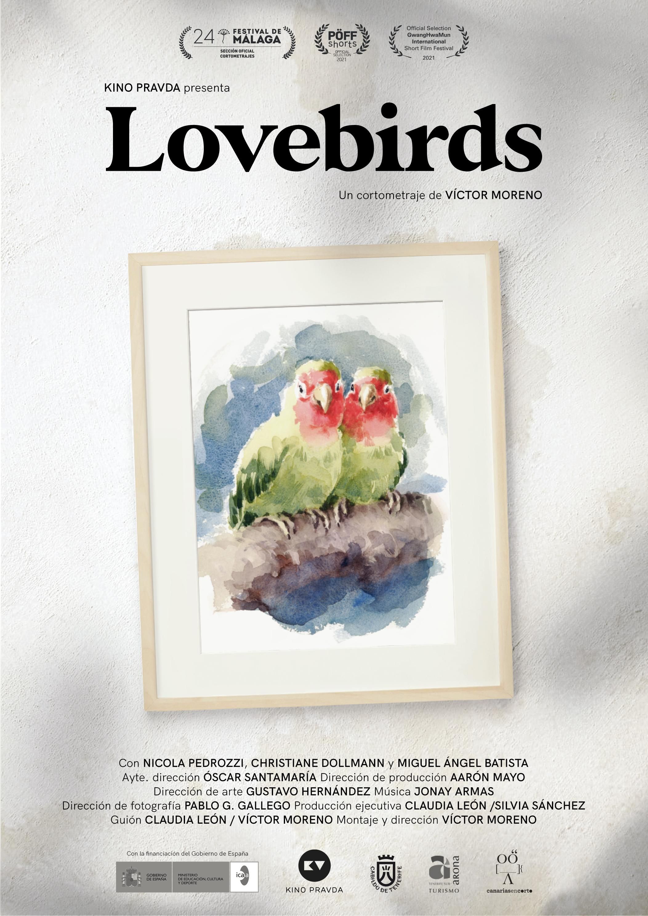 Cartel del cortometraje 'Lovebirds'.