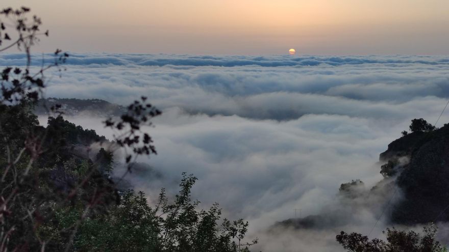 Recolectar la niebla: una alternativa a la sequía y para reparar los daños de los incendios